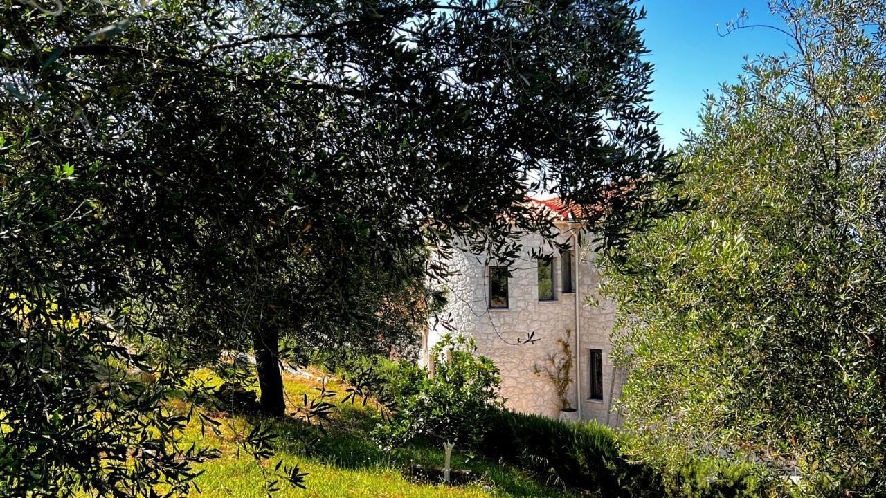 Villa Sania Kassiopi Zewnętrze zdjęcie